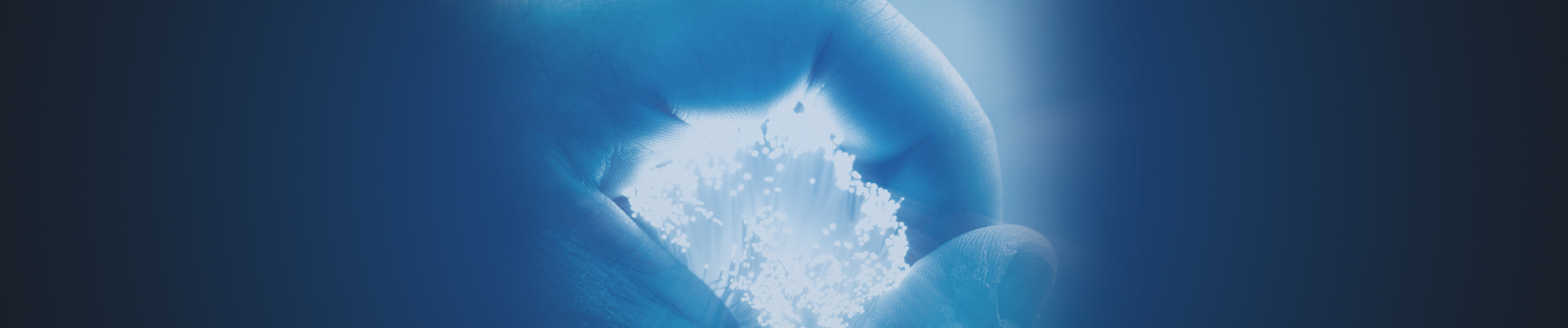 banner-afb2